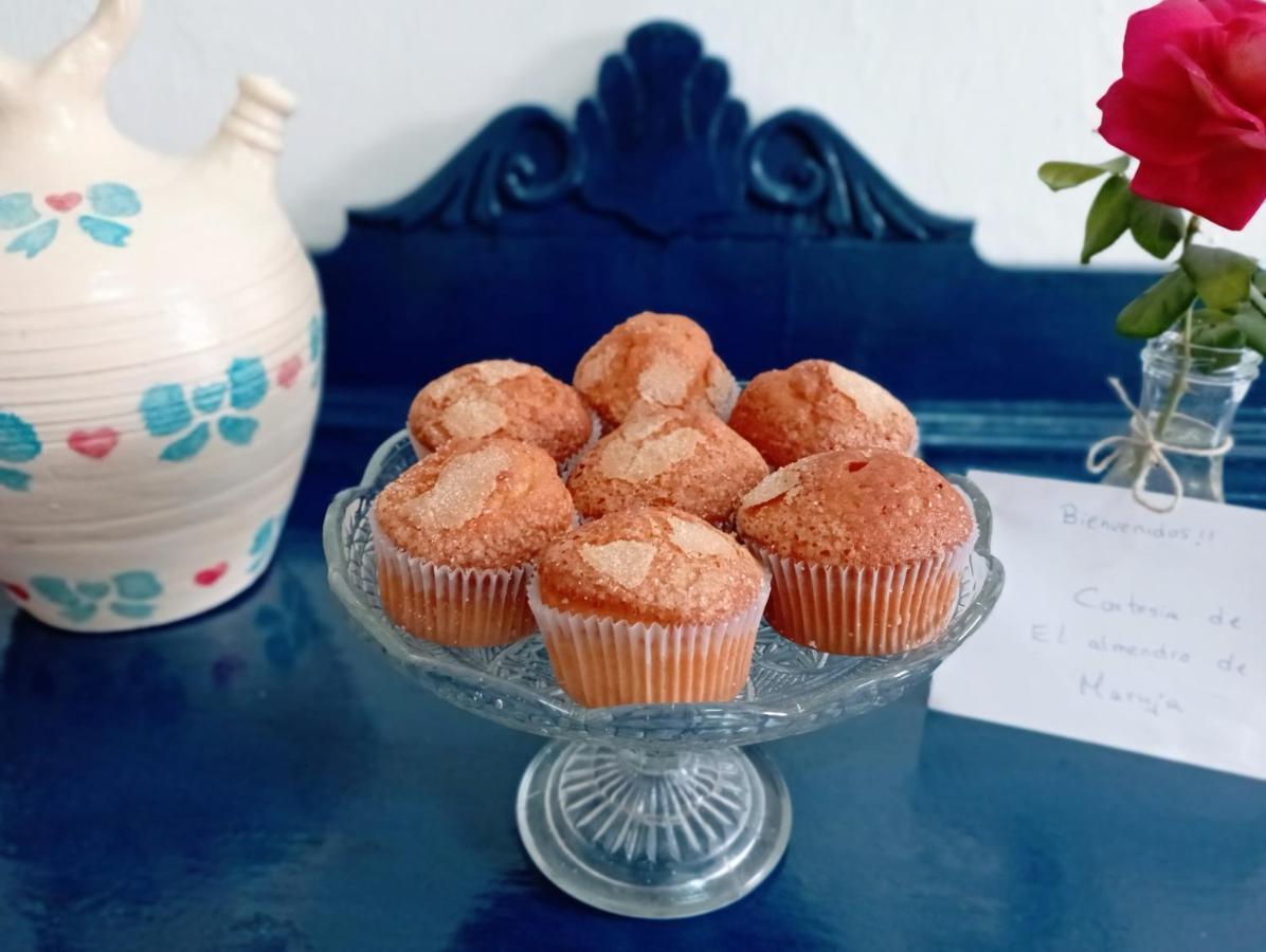 Torviscón El Almendro De Maruja 아파트 외부 사진