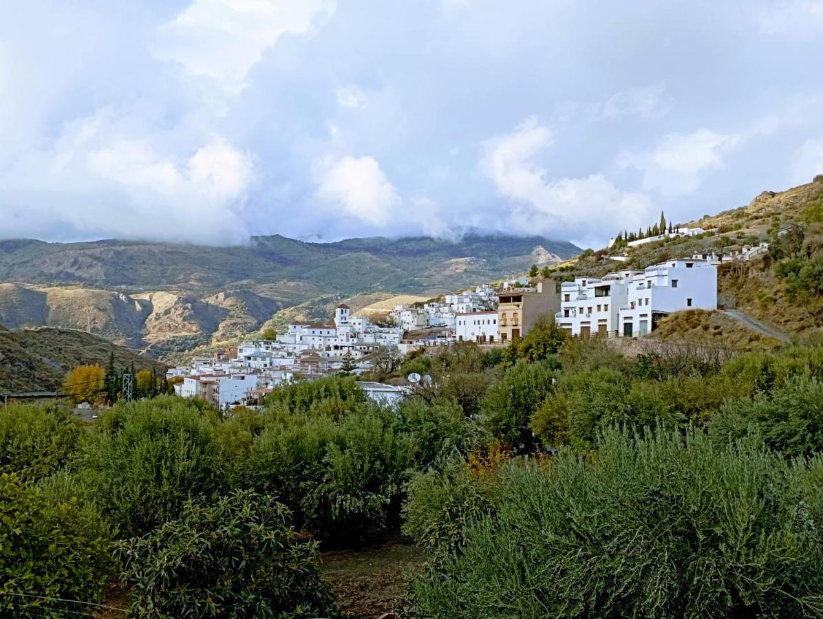 Torviscón El Almendro De Maruja 아파트 외부 사진
